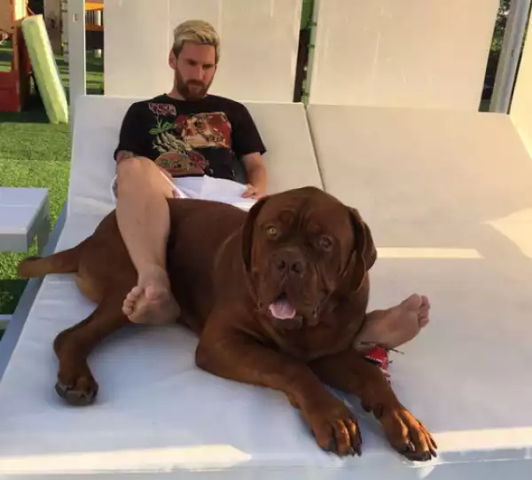 Photo: Football Star, Leo Messi Pictured With His Giant Dog